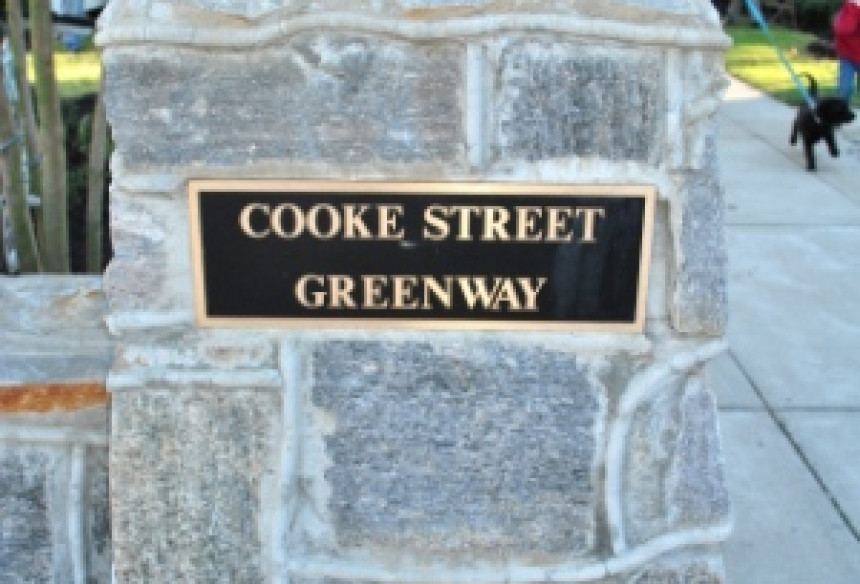 Cooke Street Community