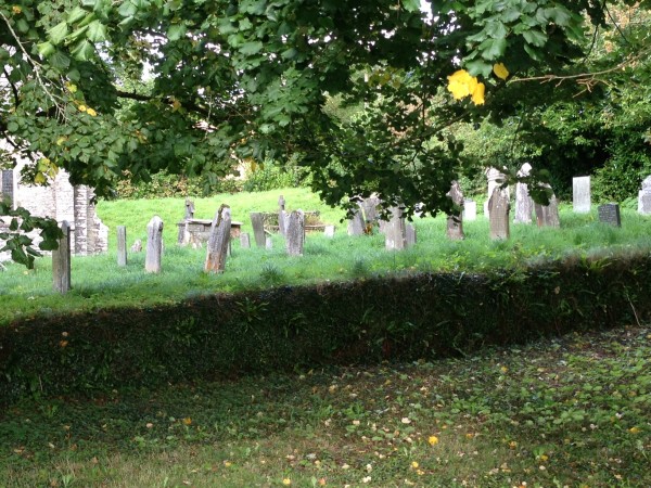 graveyard, from afar