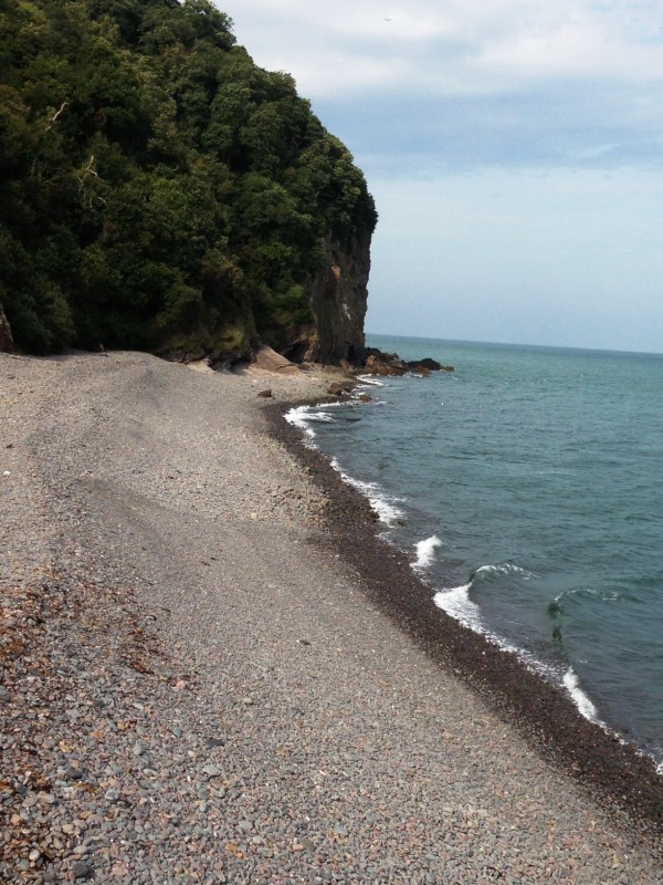 the beach at clovelly