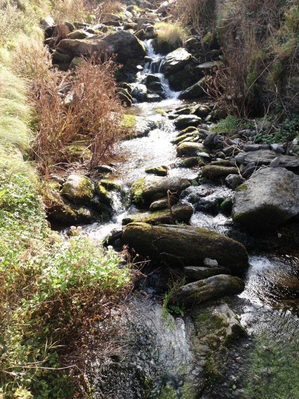 nice relief from all the coastal, sunny hiking as we darted into a wooded area