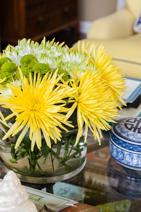 flowers are a secret to a successful photo shoot