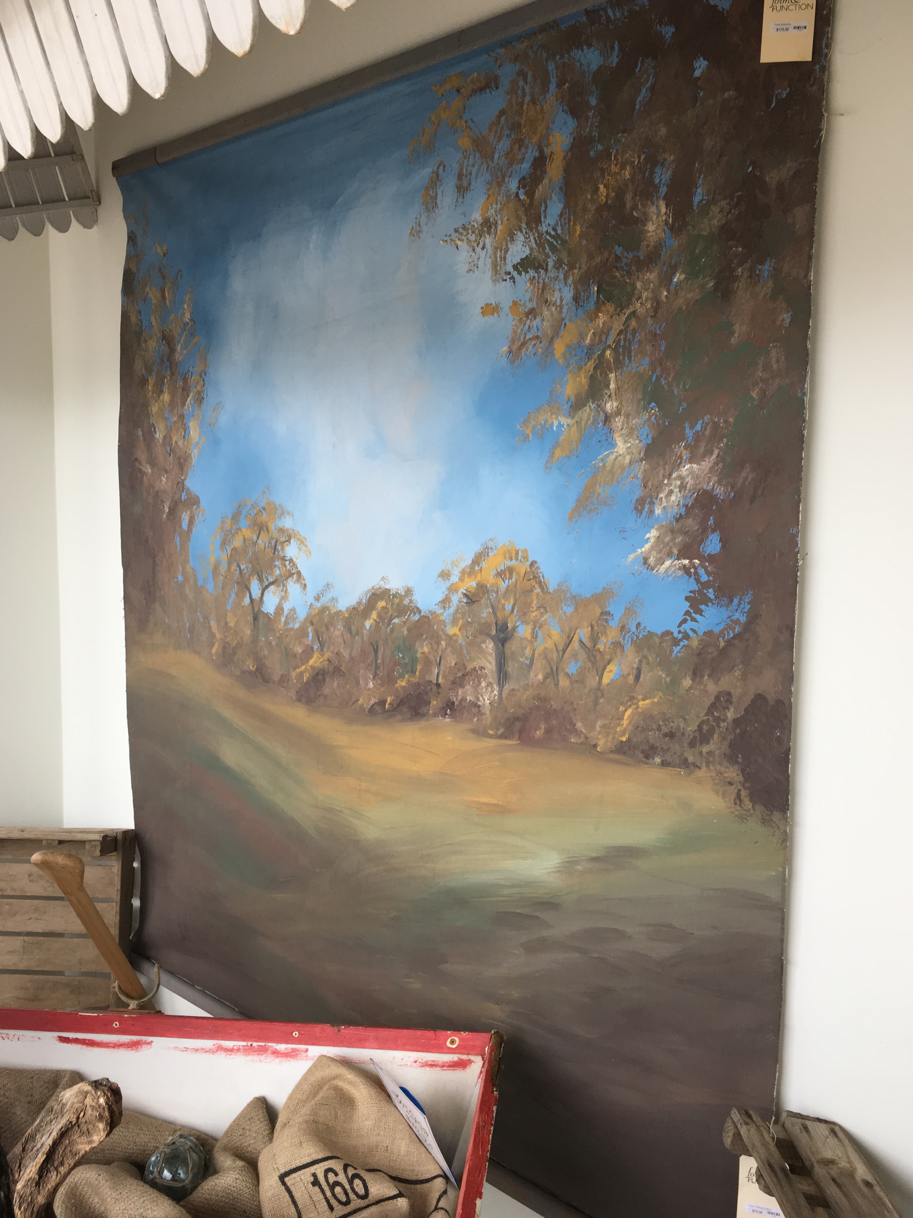 Painted Canvas Photo Backdrop Form & Function