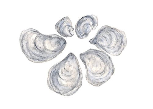 Oyster art watercolor print