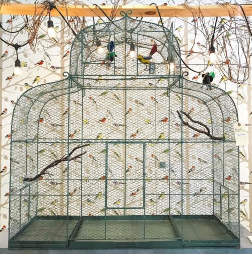 Schumacher bird wallpaper large birdcage