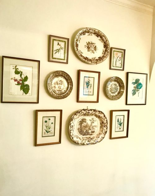 botanical prints antique plates gallery wall